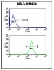 AP51966PU-N - GSTK1