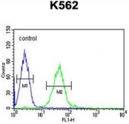 AP51978PU-N - GTPBP2