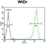 AP51986PU-N - Beta-glucuronidase