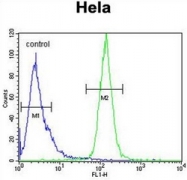 AP51990PU-N - H2AFY2 / MACROH2A2