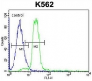 AP52006PU-N - Hemoglobin alpha