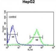 AP52037PU-N - HFE2 / Hemojuvelin