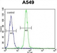 AP52064PU-N - Heme oxygenase 1 / HMOX1