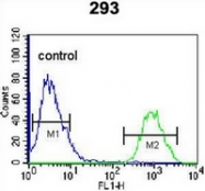 AP52072PU-N - Homeodomain-only protein / HOP