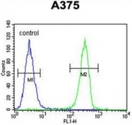 AP52077PU-N - HOXA9 / HOX1G