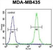 AP52089PU-N - Haptoglobin
