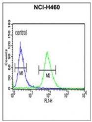 AP52147PU-N - Isocitric dehydrogenase gamma / IDH3G