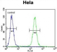 AP52163PU-N - Insulin-like growth factor II / IGF2