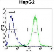 AP52166PU-N - IGF2BP2