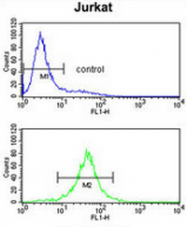 AP52181PU-N - Interleukin-10 / IL10
