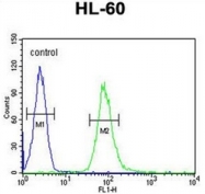 AP52197PU-N - CD132 / IL2RG