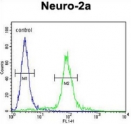 AP52249PU-N - Integrin alpha-11 / ITGA11