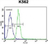 AP52261PU-N - CD339 / JAG1
