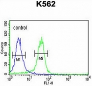 AP52269PU-N - JMJD2B / KDM4B