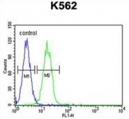 AP52272PU-N - JMJD2C / KDM4C