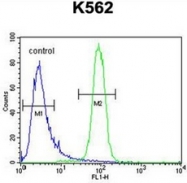 AP52295PU-N - KBTBD5 / SRYP