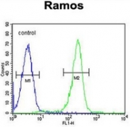 AP52400PU-N - Kininogen-1