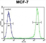 AP52428PU-N - Kinase suppressor of Ras 2
