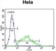 AP52465PU-N - Leptin