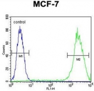 AP52468PU-N - Galectin-3