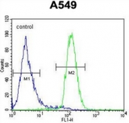 AP52479PU-N - CD85h / LILRA2