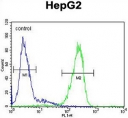 AP52506PU-N - TMEM112B / TMEM153