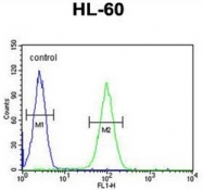 AP52510PU-N - LNPEP