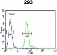 AP52513PU-N - Lysyl oxidase
