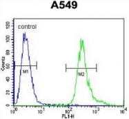 AP52543PU-N - LRRC6