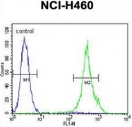 AP52591PU-N - Mastermind-Like Protein 1