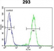AP52593PU-N - Alpha-Mannosidase 2 / MAN2A1