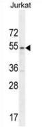 AP52738PU-N - MPP1