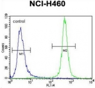 AP52761PU-N - Macrophage stimulatory protein