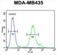 AP52772PU-N - Metaxin-2