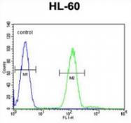 AP52788PU-N - Myeloperoxidase