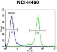 AP52817PU-N - Nibrin