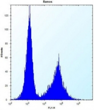 AP52832PU-N - Necdin