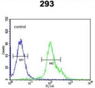 AP52979PU-N - Neurexophilin-1