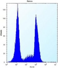 AP53006PU-N - Olfactory receptor 10G9