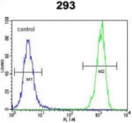 AP53007PU-N - Olfactory receptor 10H1