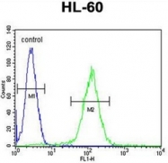 AP53011PU-N - Olfactory receptor 10J5