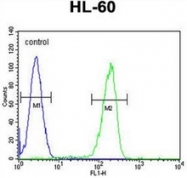 AP53029PU-N - Olfactory receptor 2F2