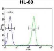 AP53043PU-N - Olfactory receptor 2W3