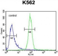 AP53075PU-N - Olfactory receptor 52A1