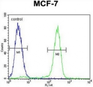 AP53129PU-N - Otopetrin-3