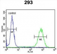 AP53194PU-N - PCDH17
