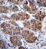 AP53217PU-N - PCDHGC5