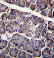 AP53228PU-N - CD273 / PDL2