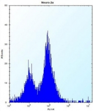AP53260PU-N - Peroxin 14 / PEX14