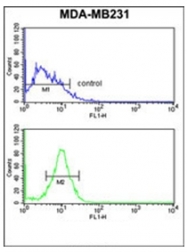 AP53261PU-N - Peroxin 14 / PEX14
